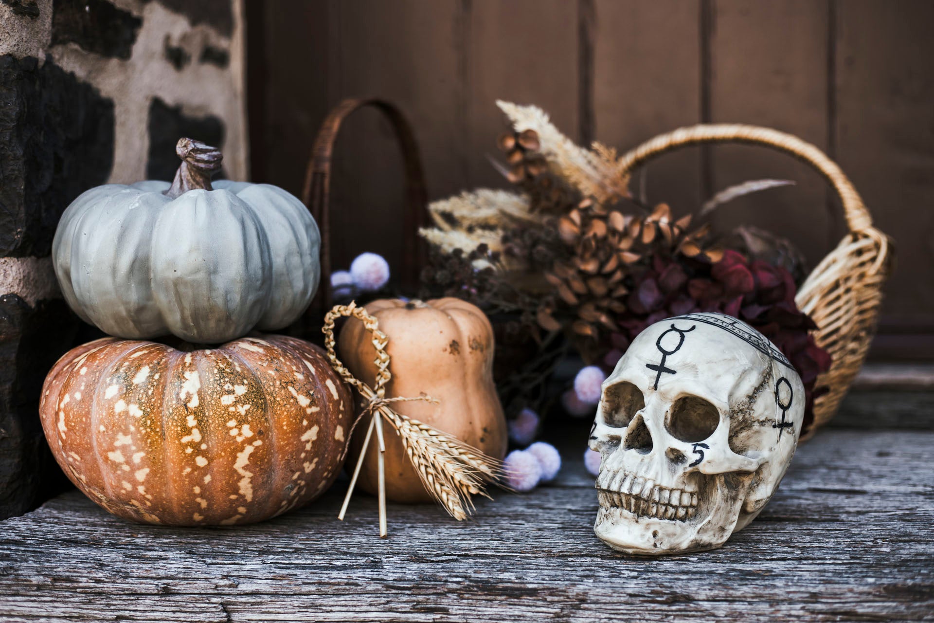 Decorative arrangement with pumpkins and a skull on a rustic surface.